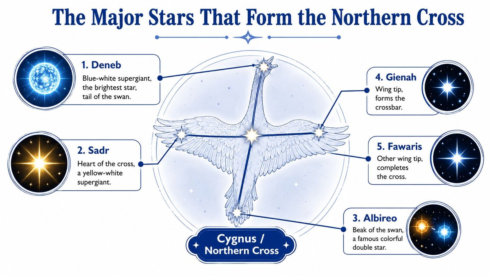 An educational infographic illustrating the five major stars that form the Northern Cross in the Cygnus constellation.