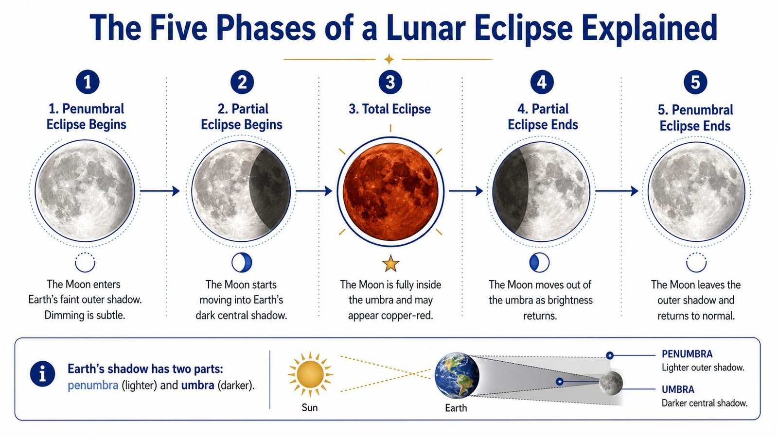 A diagram illustrating the five stages of a lunar eclipse with labeled moon phases and descriptions.